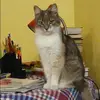 Отзыв от Василиса Орехова